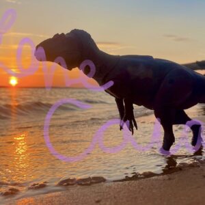 Sunset Allosaurus