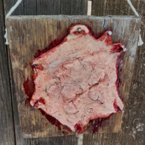 Fake Skin Slab - Small