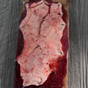 Fake Skin Slab - Large